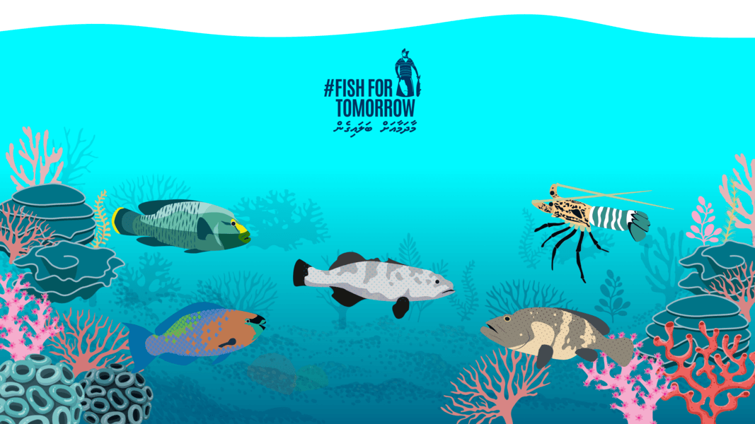 Marine Conservation Platform